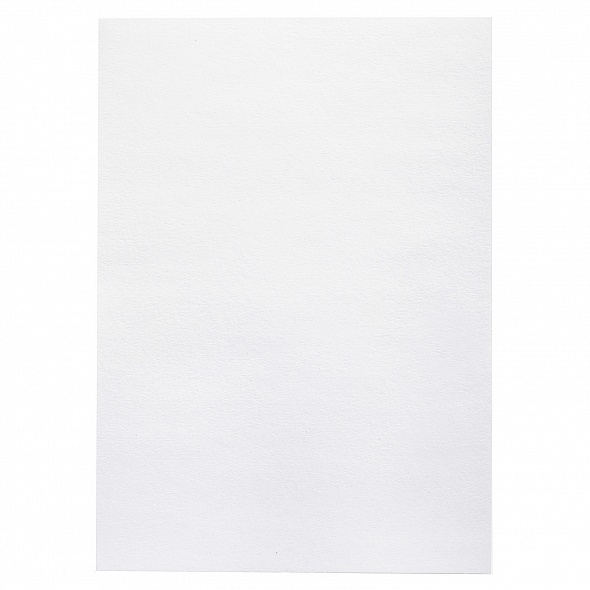 картинка Папка для черчения, А4, 10 л, 200 г/м2, "Архитектор", Hatber, 10Бч4A_26091 от магазина Альфанит в Кунгуре