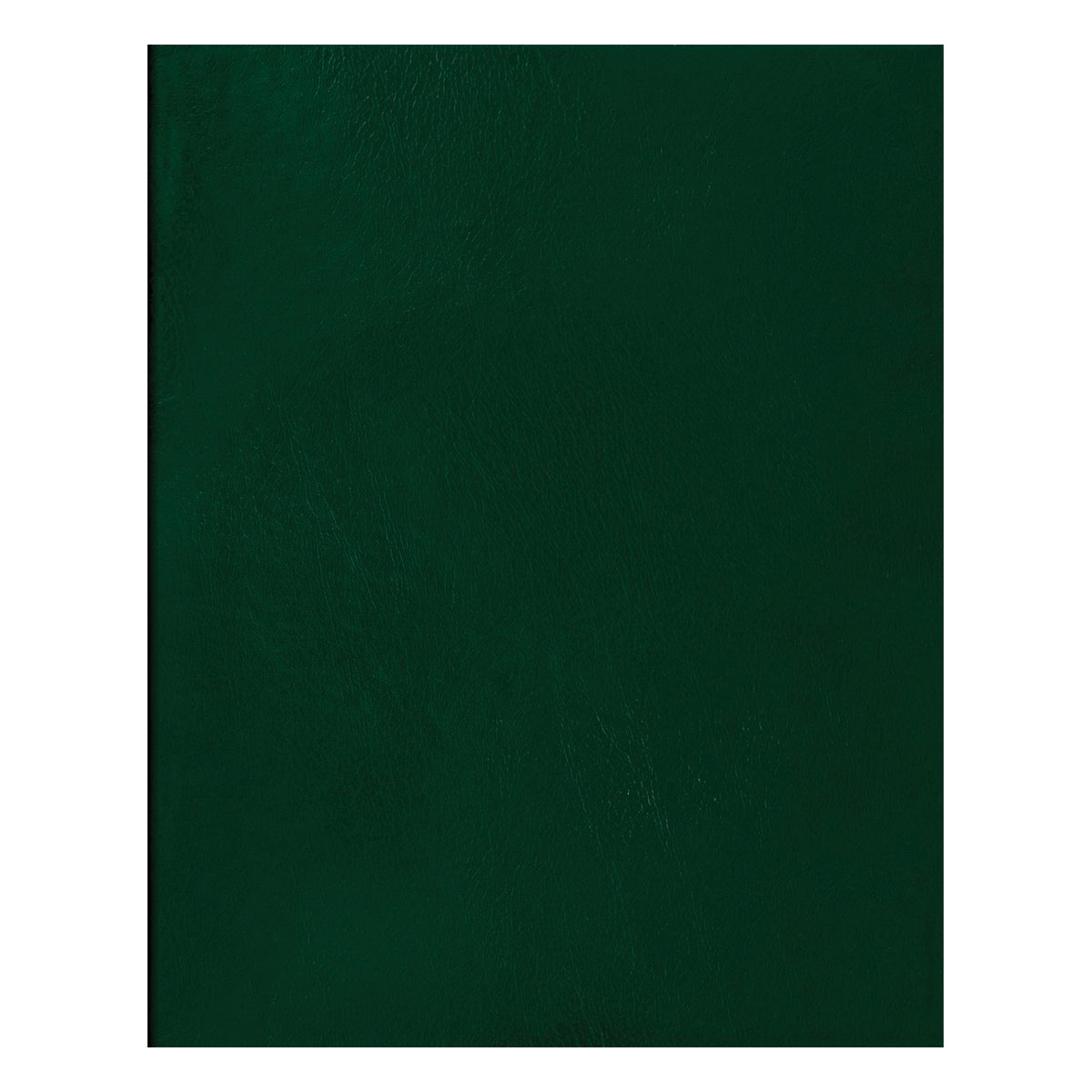 картинка Тетрадь 48 л, А5, клетка, зеленый, бумвинил, BG, Т5бв48к_12309 от магазина Альфанит в Кунгуре