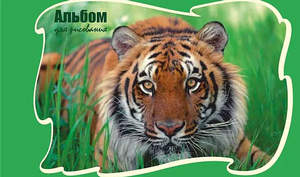 картинка Альбом для рисования, А4, 24 л, 180-200 г/м2, на завязках, ассорти, "Экзотические животные", УРБ от магазина Альфанит в Кунгуре