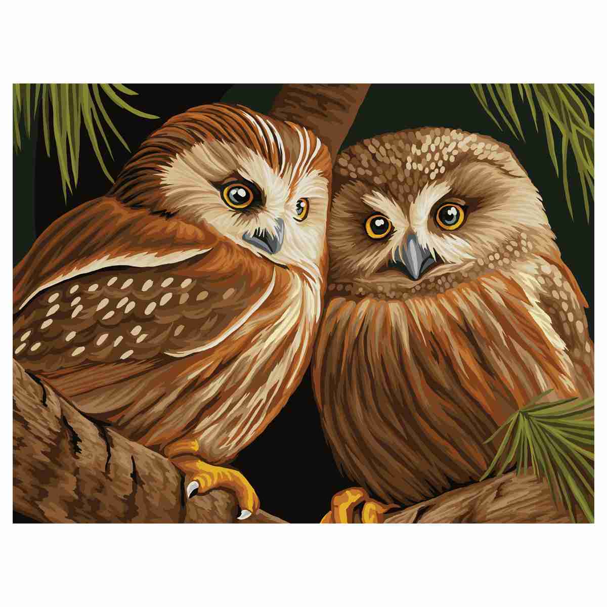 картинка Картина по номерам, 40*50 см, на подрамнике, "Две совы", Три совы, КХ4050_53927 от магазина Альфанит в Кунгуре