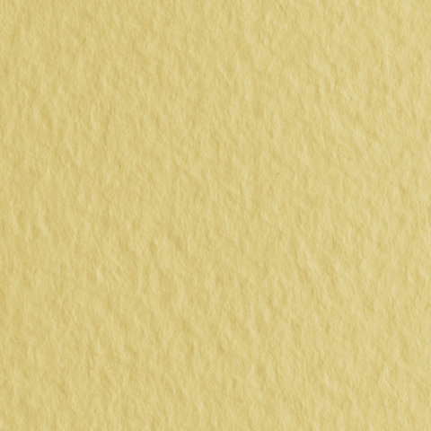 картинка Бумага для пастели 1 лист, А2+, 500*650 мм, 160 г/м2, банановый, FABRIANO Tiziano, 52551003 от магазина Альфанит в Кунгуре