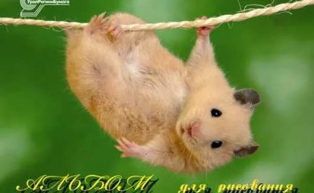 картинка Альбом для рисования, А4, 24 л, 180-200 г/м2, на завязках, ассорти, "Экзотические животные", УРБ, С16ЭА от магазина Альфанит в Кунгуре