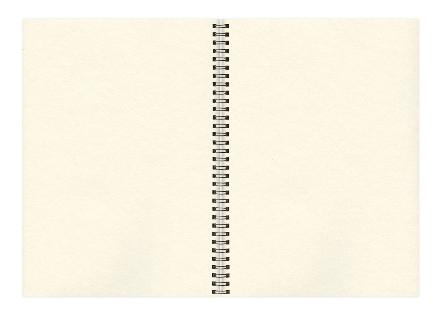 картинка Скетчбук, А3, 30 л, 150 г/м2, спираль, слоновая кость, "Франция", BRAUBERG, 128946 от магазина Альфанит в Кунгуре