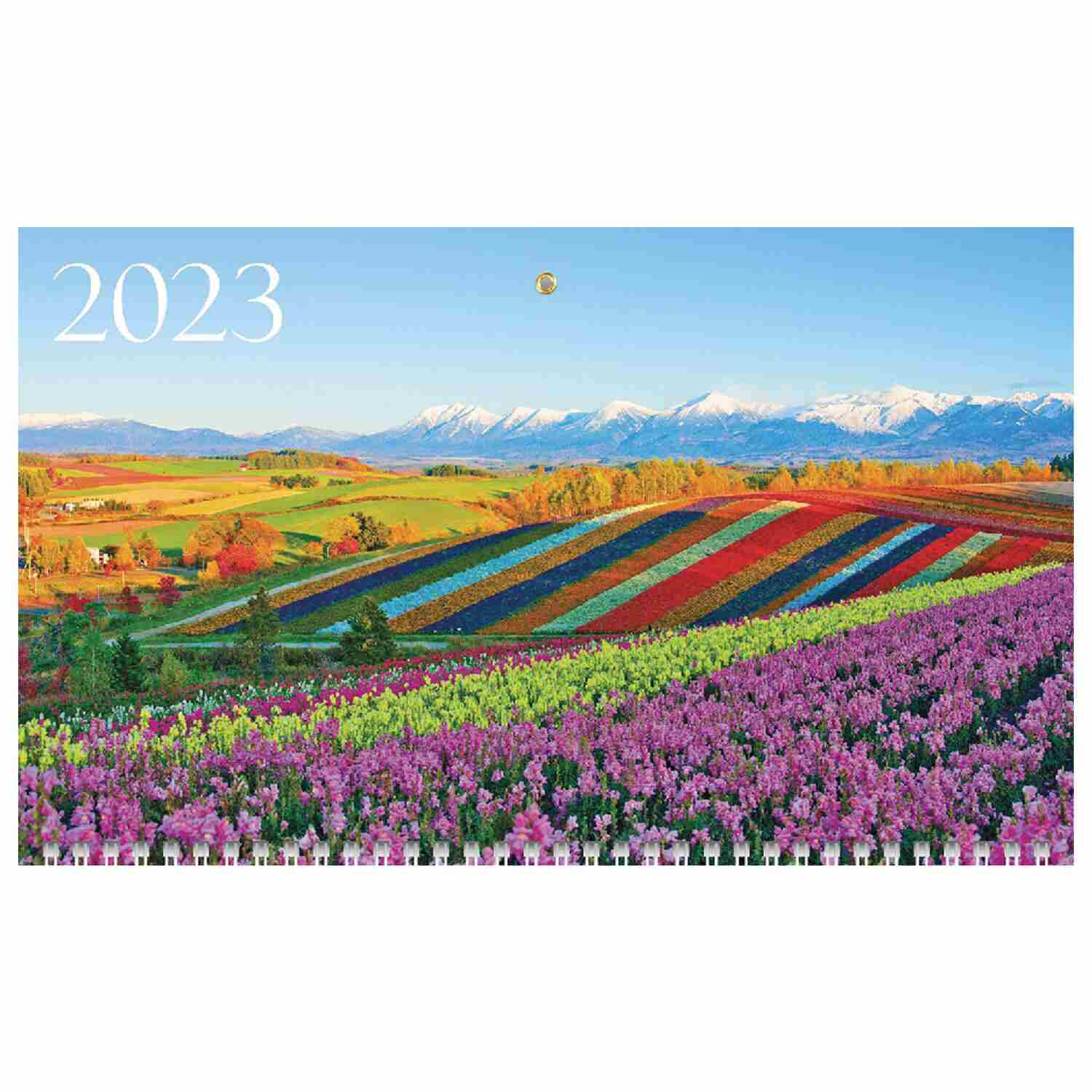 картинка Календарь квартальный 2023 год, 30*77,5 см, трехблочный, с бегунком, "Цветущие долины", Hatber, 3Кв3гр3_27059, 114625 от магазина Альфанит в Кунгуре