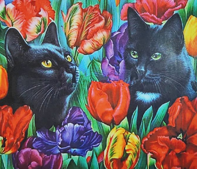 картинка Картина по номерам, 40*50 см, на подрамнике, "Коты", 30909 от магазина Альфанит в Кунгуре