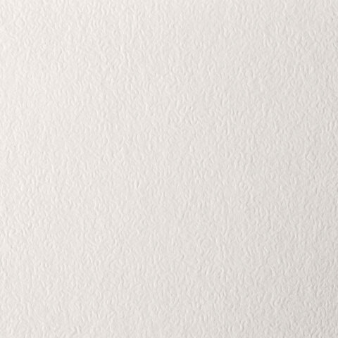 картинка Папка для пастели, А4, 20 л, 200 г/м2, слоновая кость, "Скорлупа", BRAUBERG, 126306 от магазина Альфанит в Кунгуре