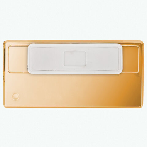 картинка Бейдж магнитный, 3,4*7 см, с окошком 1,4*6,5 см, горизонтальный, золото, BRAUBERG, 237465 от магазина Альфанит в Кунгуре