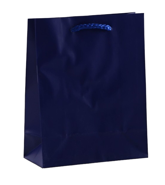 картинка Пакет подарочный, 12*15*5,5 см, ручка-шнур, бумага ламинированная, "Синий", 6582792 от магазина Альфанит в Кунгуре