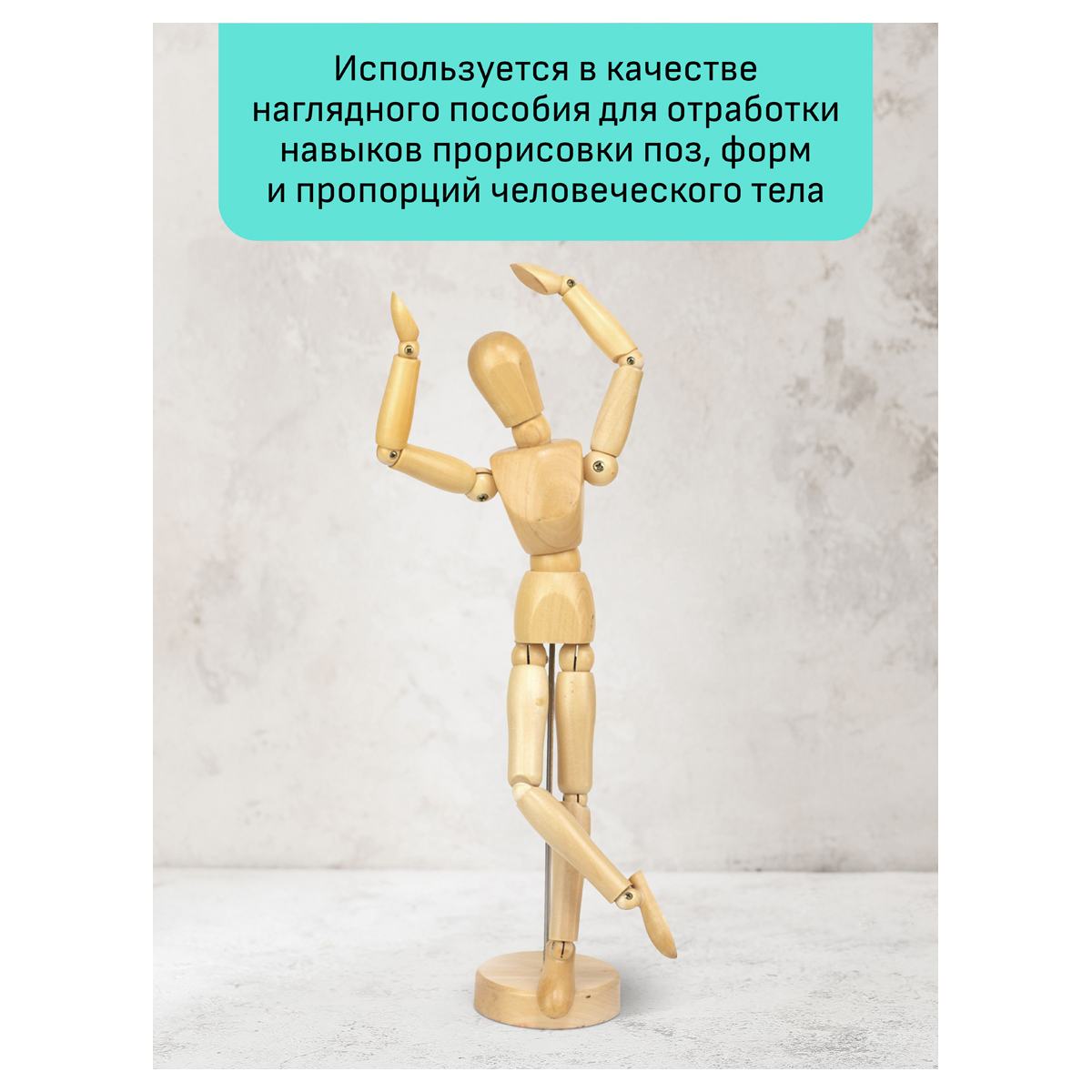 картинка Манекен человека художественный мужской, высота 30 см, дерево, "Студия", Гамма, 180520218 от магазина Альфанит в Кунгуре
