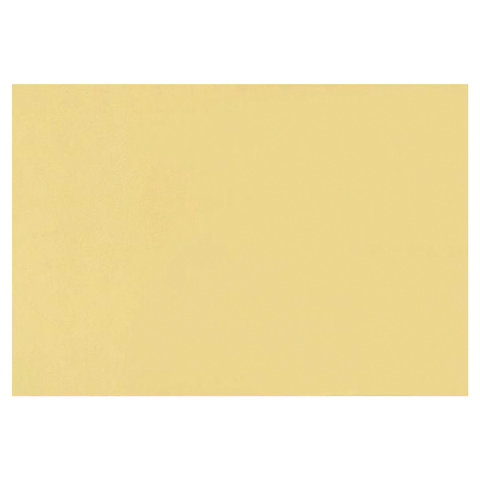 картинка Бумага для пастели 1 лист, А2+, 500*650 мм, 160 г/м2, банановый, FABRIANO Tiziano, 52551003 от магазина Альфанит в Кунгуре