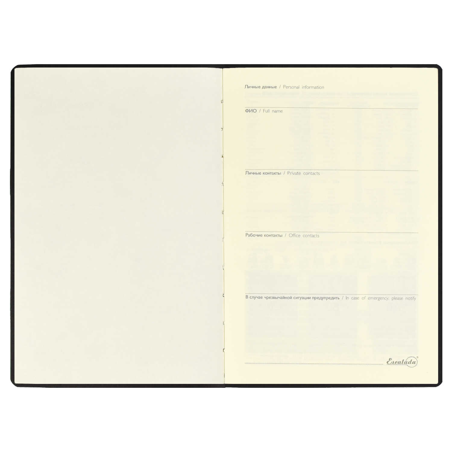 картинка Ежедневник недатированный, А5, 160 л, мрамор черное золото, Феникс+, 52869 от магазина Альфанит в Кунгуре