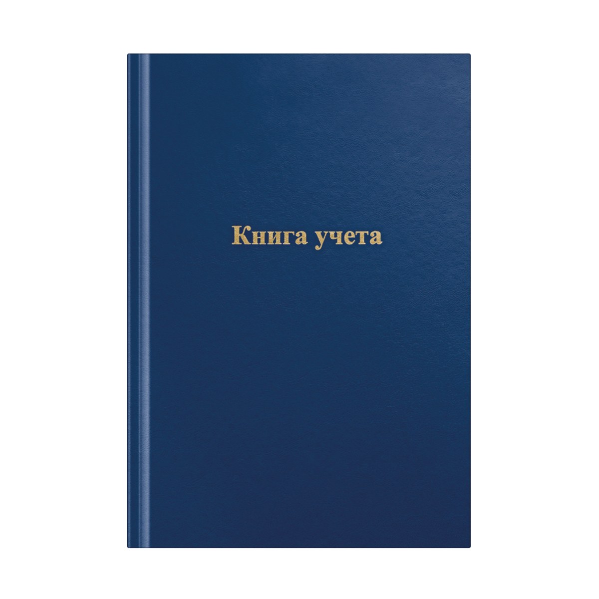 картинка Книга учета, А4, 192 л, клетка, бумвинил синий, блок газетный, OfficeSpace, 315598 от магазина Альфанит в Кунгуре