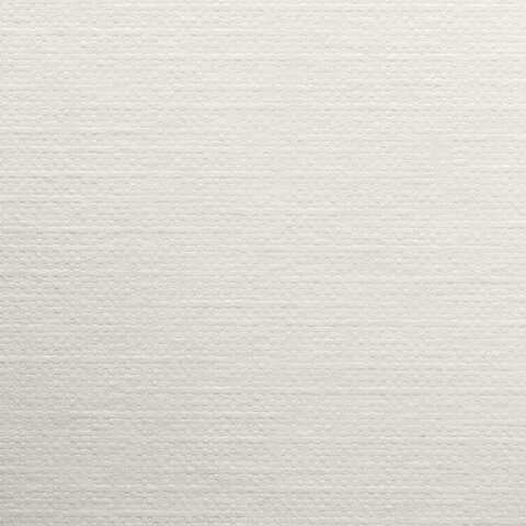 картинка Папка для пастели, А4, 20 л, 20 г/м2, слоновая кость, "Холст", BRAUBERG, 126307 от магазина Альфанит в Кунгуре