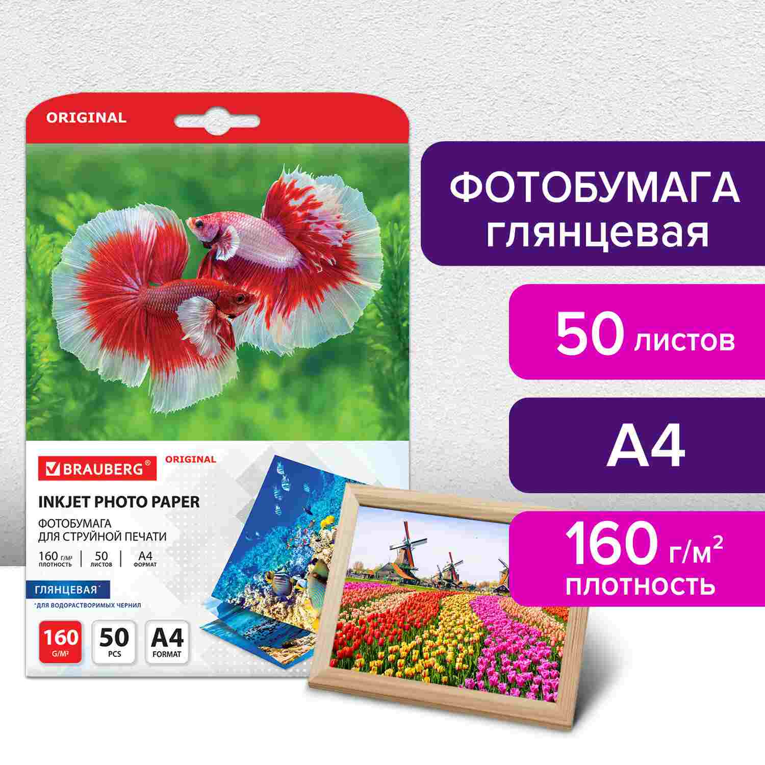 картинка Фотобумага BRAUBERG, А4, 50 л, 160 г/м2, глянцевая односторонняя, 363984 от магазина Альфанит в Кунгуре
