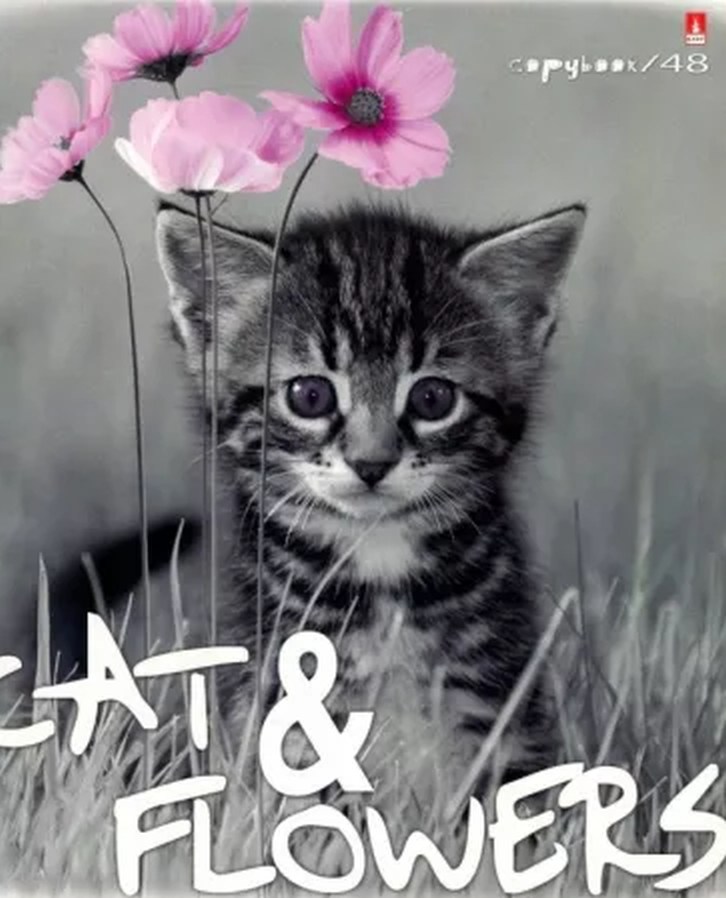 картинка Тетрадь 48 л, А5, клетка, "Котята и цветы", Альт, 7-48-649 от магазина Альфанит в Кунгуре