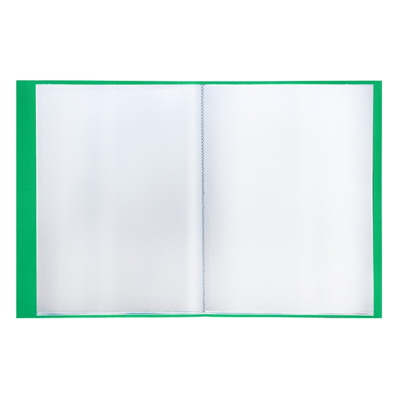 картинка Папка 60 файлов, А4, 21 мм, 700 мкм, зеленый, "Standard", Berlingo, MT2440 от магазина Альфанит в Кунгуре