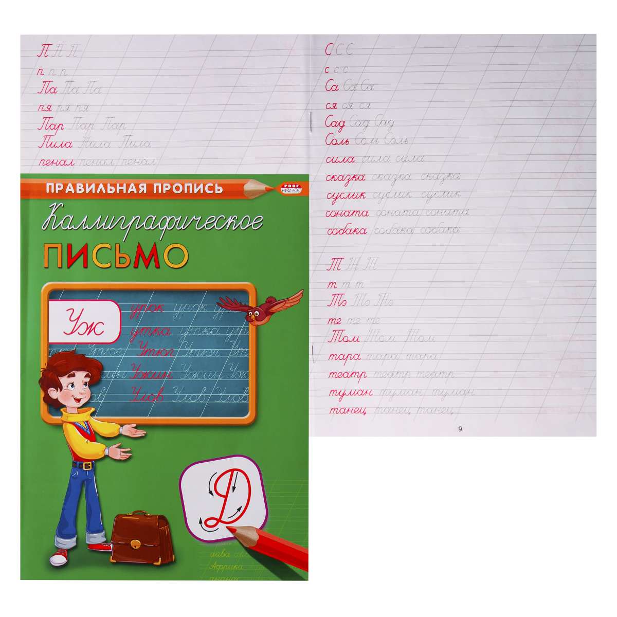 картинка Прописи, А4, 8 л, "Правильная пропись. Каллиграфическое письмо", ProfPress, ПР-2992 от магазина Альфанит в Кунгуре