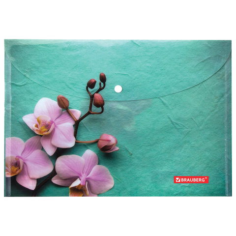 картинка Папка-конверт на кнопке, А4, 160 мкм, цветная печать, "FLOWER", BRAUBERG, 228031 от магазина Альфанит в Кунгуре