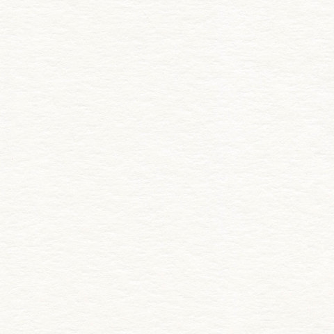 картинка Папка для акварели, А4, 20 л, 200 г/м2, "Осенний лес", BRAUBERG, 125226 от магазина Альфанит в Кунгуре