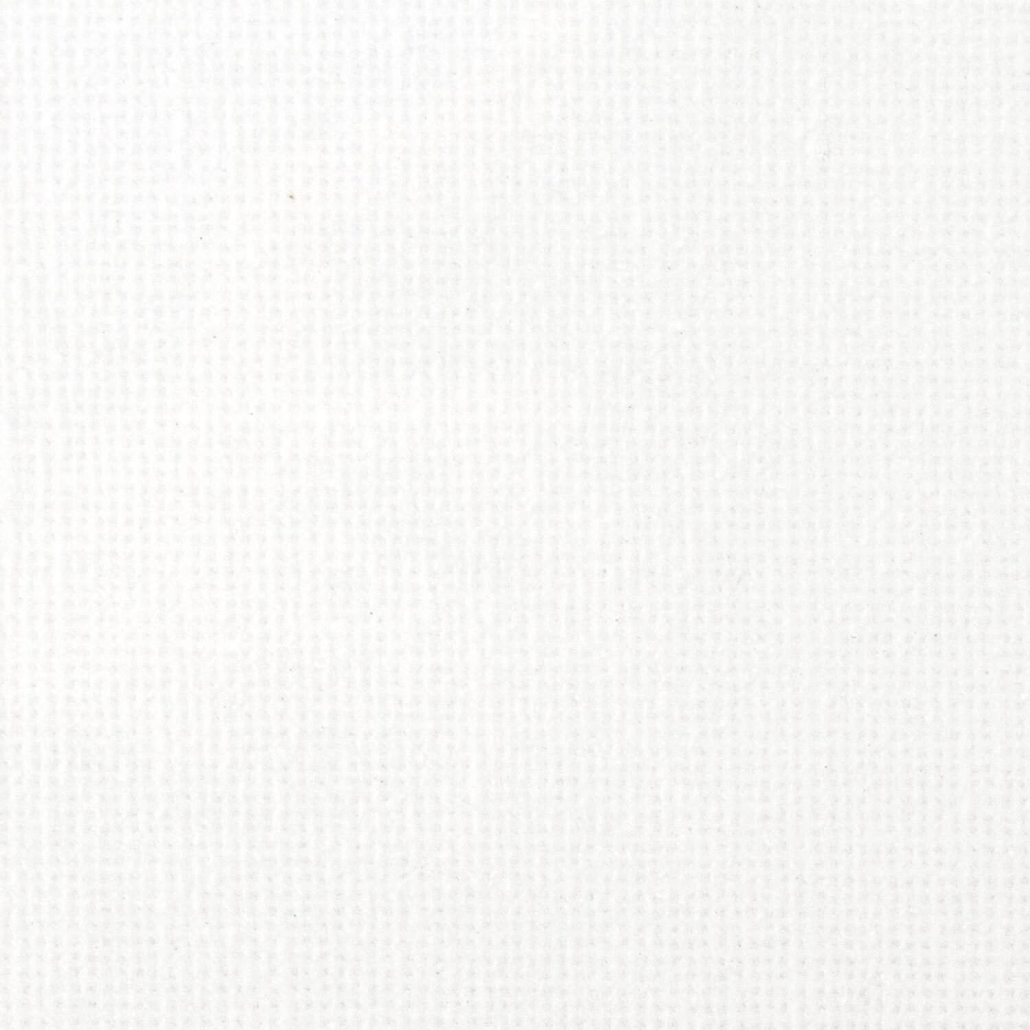 картинка Холст 30*40 см, 100% хлопок, на подрамнике, грунтованный, мелкое зерно, BRAUBERG, 191023 от магазина Альфанит в Кунгуре