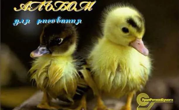 картинка Альбом для рисования, А4, 24 л, 180-200 г/м2, на завязках, ассорти, "Экзотические животные", УРБ от магазина Альфанит в Кунгуре