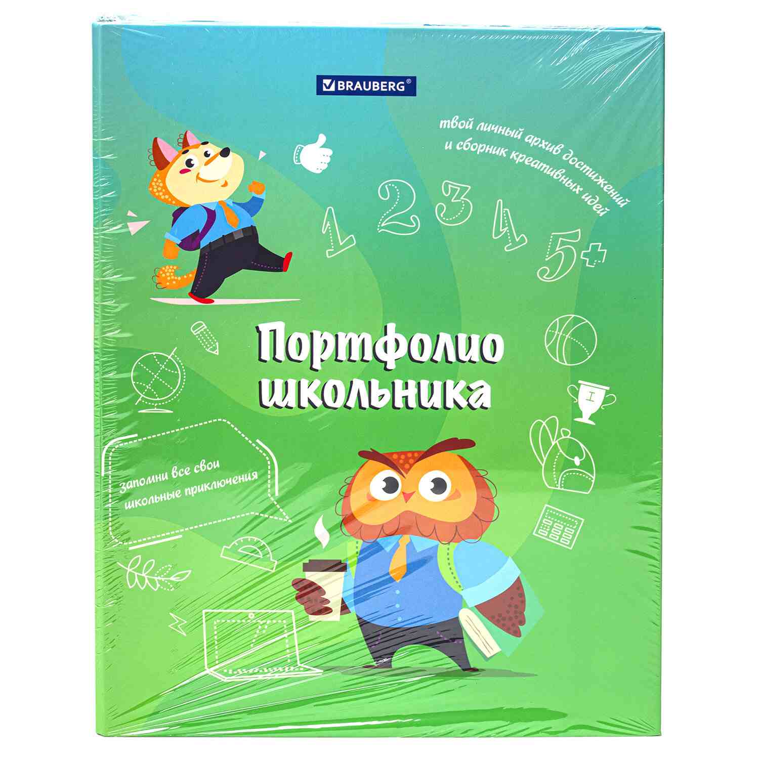 картинка Портфолио школьника, 20 файлов, 10 вкладышей, "Отличник", BRAUBERG, 115240 от магазина Альфанит в Кунгуре