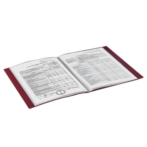 картинка Папка 40 файлов, А4, 0,7 мм, красный, "Стандарт", BRAUBERG, 221602 от магазина Альфанит в Кунгуре