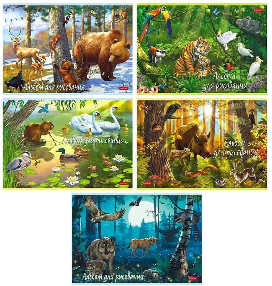 картинка Альбом для рисования, А4, 20 л, "В сказочном лесу", Hatber, 20А4В от магазина Альфанит в Кунгуре
