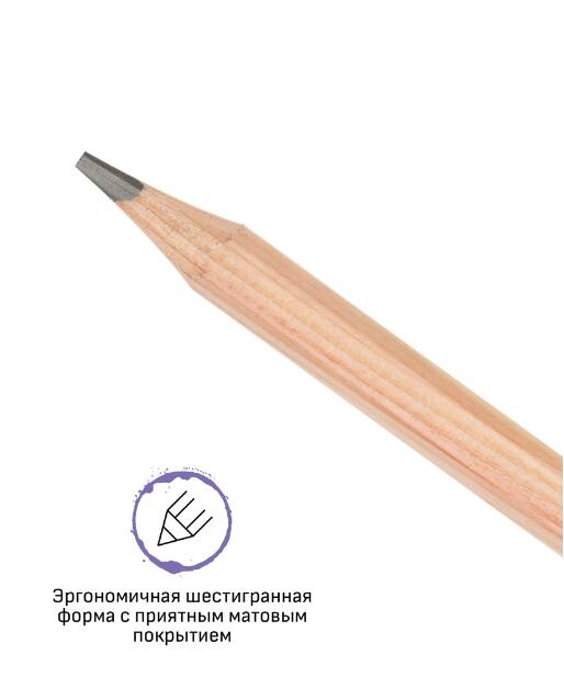 картинка Карандаш чернографитный, 8B (8М), дерево, заточен, без ластика, "Старый мастер", Гамма, 170322_8B от магазина Альфанит в Кунгуре