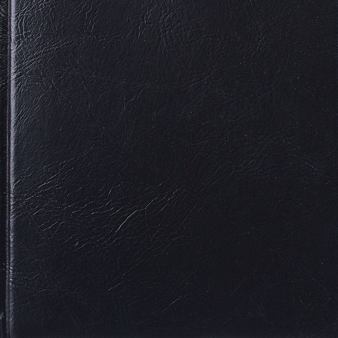 картинка Ежедневник недатированный, А5, 160 л, кожзам, черный, "Black Jack", BRAUBERG, 123344 от магазина Альфанит в Кунгуре
