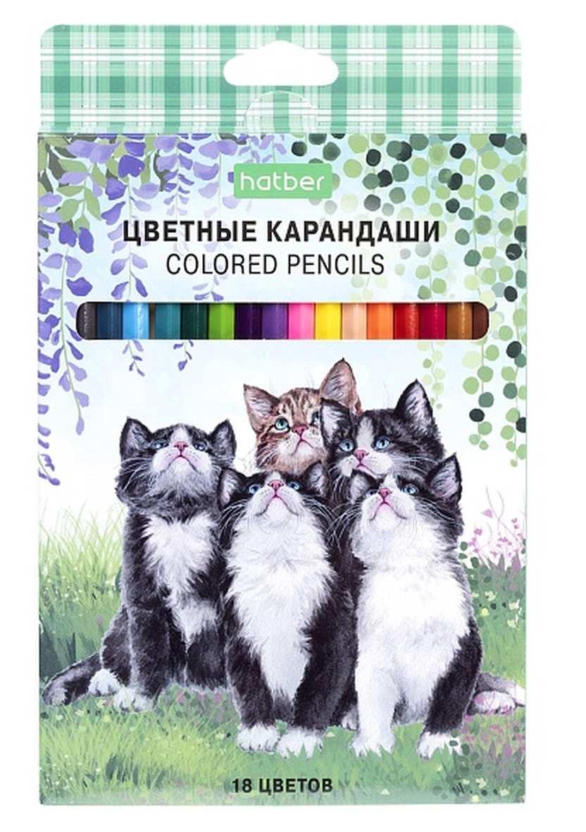 картинка Карандаши цветные, 18 цв, 18 шт, "Котики бывают разными", Hatber, CS_084400 от магазина Альфанит в Кунгуре
