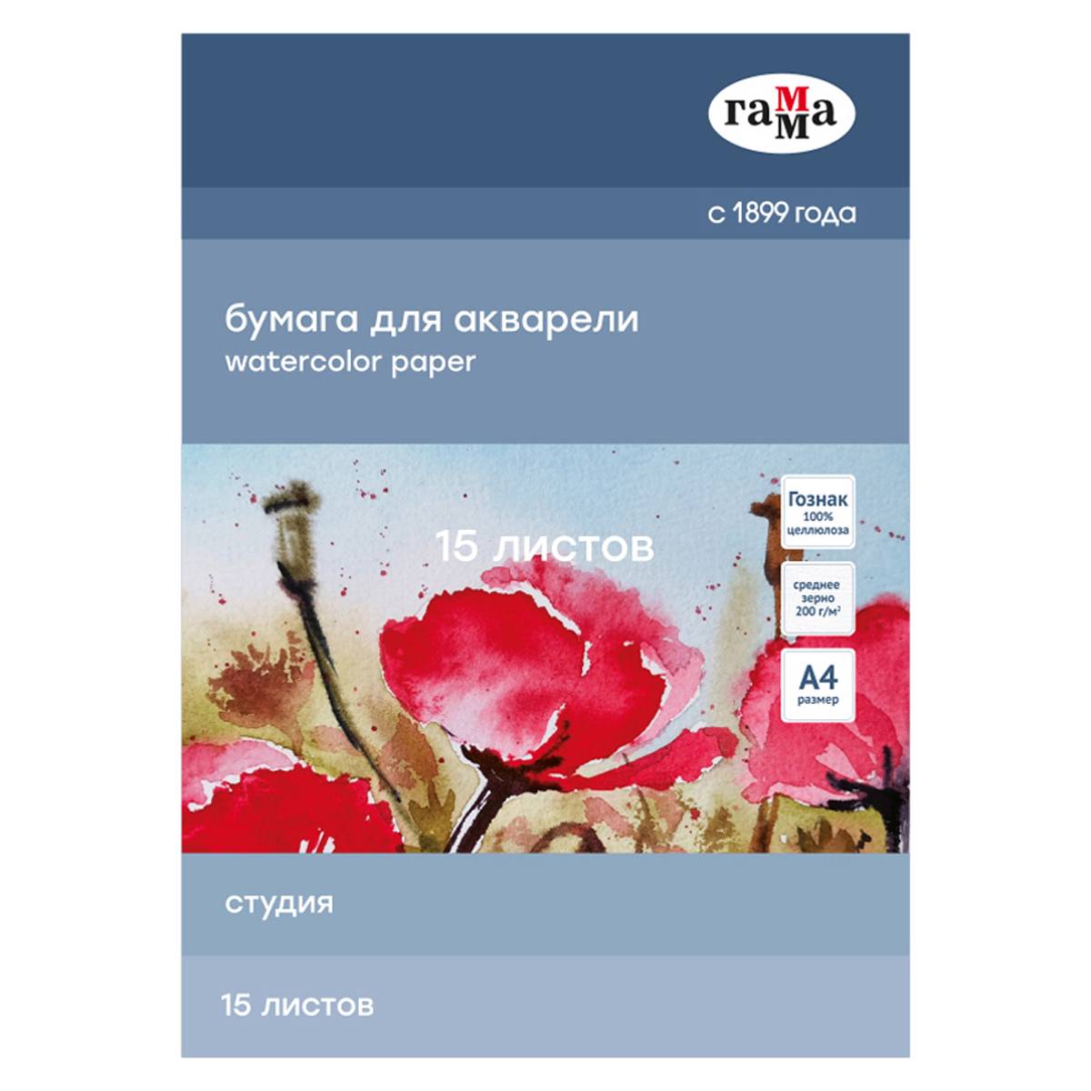 картинка Папка для акварели, А4, 15 л, 200 г/м2, среднее зерно, "Студия", Гамма, 40C03F715W от магазина Альфанит в Кунгуре
