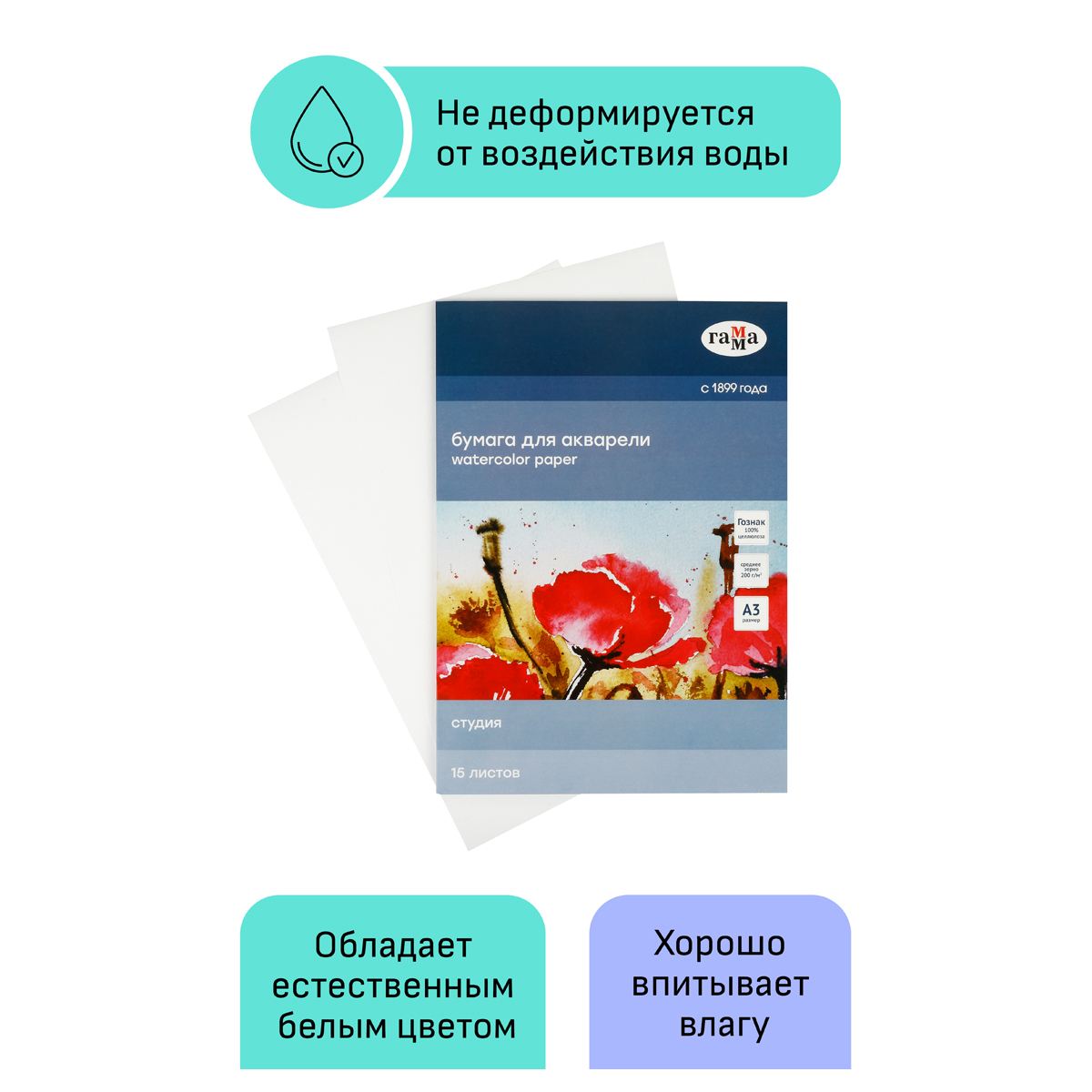 картинка Папка для акварели, А3, 15 л, 200 г/м2, среднее зерно, "Студия", Гамма, 30C03F715W от магазина Альфанит в Кунгуре
