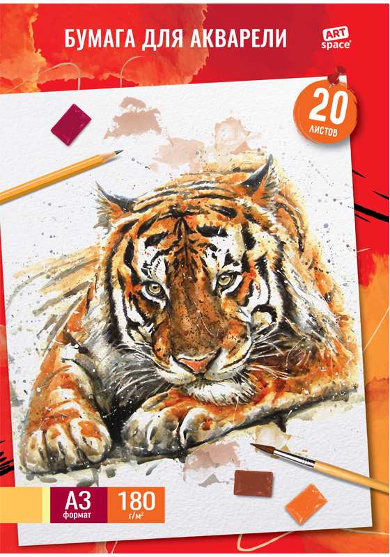 картинка Папка для акварели, А3, 20 л, 180 г/м2, "Тигр", ArtSpace, Па20А3_41703 от магазина Альфанит в Кунгуре