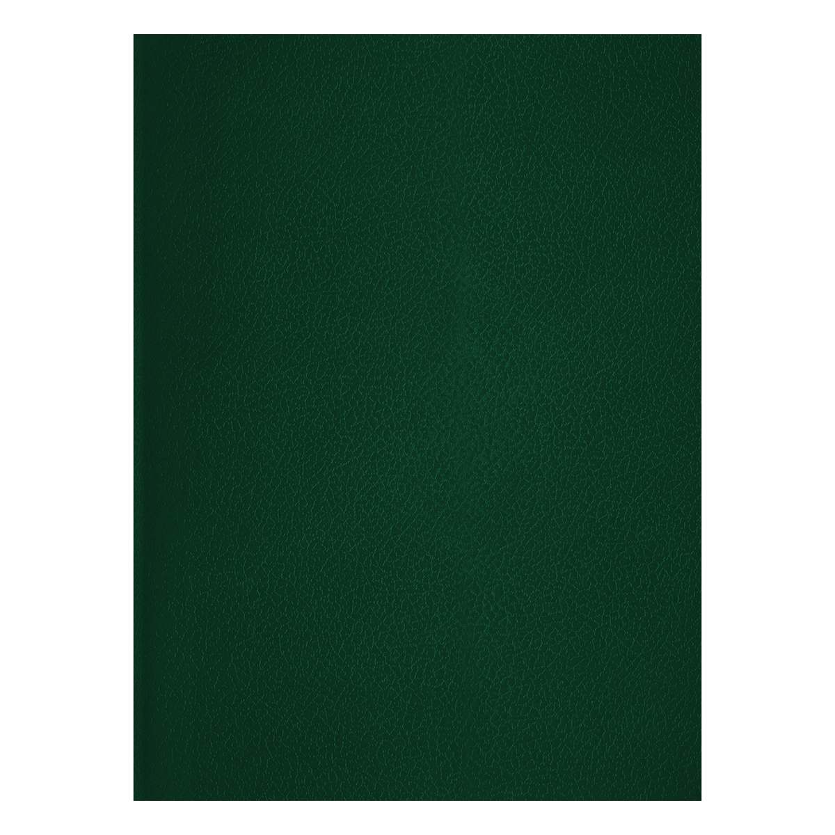 картинка Тетрадь 48 л, А4, клетка, зеленый, бумвинил, BG, Т4бв48к_12322 от магазина Альфанит в Кунгуре