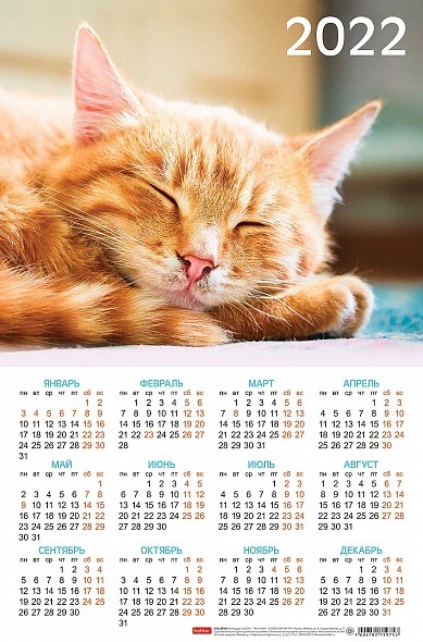 картинка Календарь листовой 2022 год, А3, картон, ассорти, Hatber от магазина Альфанит в Кунгуре