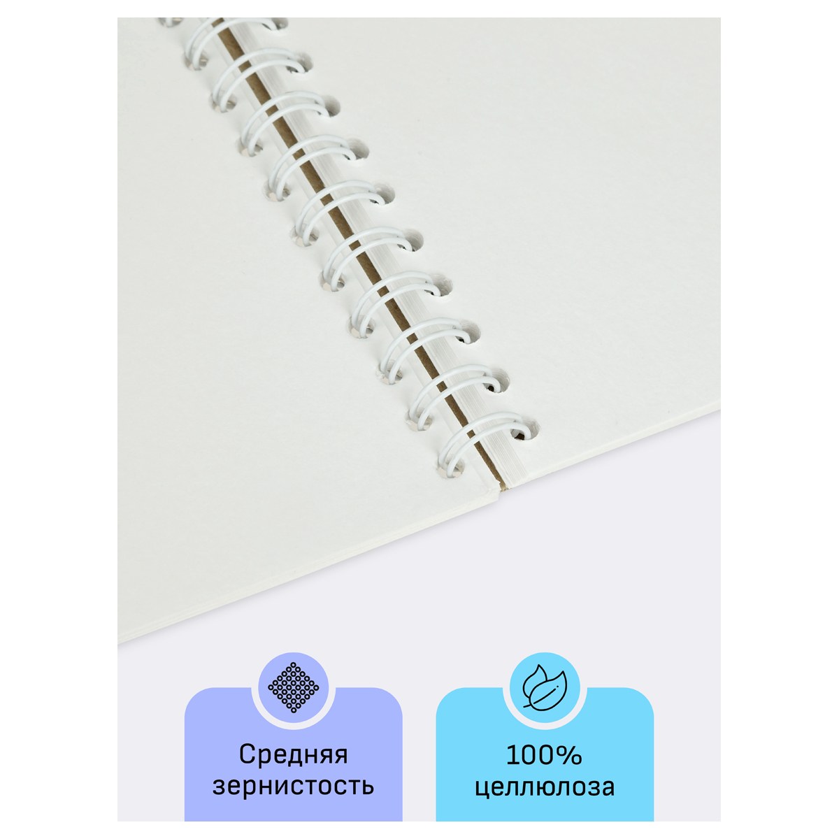 картинка Альбом для акварели, А5, 24 л, 200 г/м2, спираль, среднее зерно, белый, "Студия", Гамма, 50C01S724W от магазина Альфанит в Кунгуре
