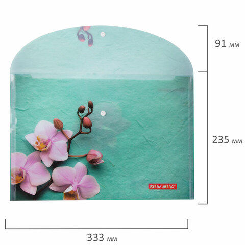 картинка Папка-конверт на кнопке, А4, 160 мкм, цветная печать, "FLOWER", BRAUBERG, 228031 от магазина Альфанит в Кунгуре