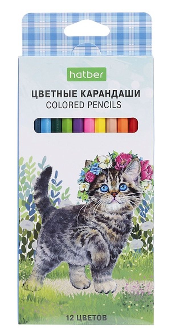 картинка Карандаши цветные, 12 цв, 12 шт, "Котики бывают разными", Hatber, CS_084399 от магазина Альфанит в Кунгуре
