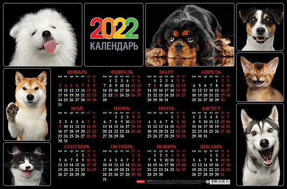 картинка Календарь листовой 2022 год, А3, картон, ассорти, Hatber от магазина Альфанит в Кунгуре