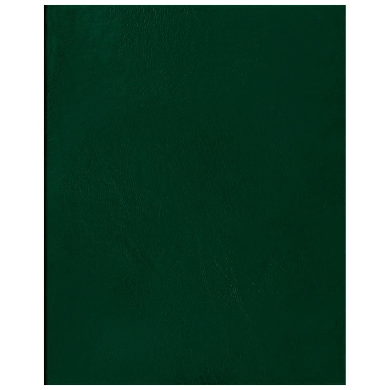 картинка Тетрадь 96 л, А4, клетка, зеленый, бумвинил, "Суперэконом", BG, Т4бв96кЭ_12343 от магазина Альфанит в Кунгуре