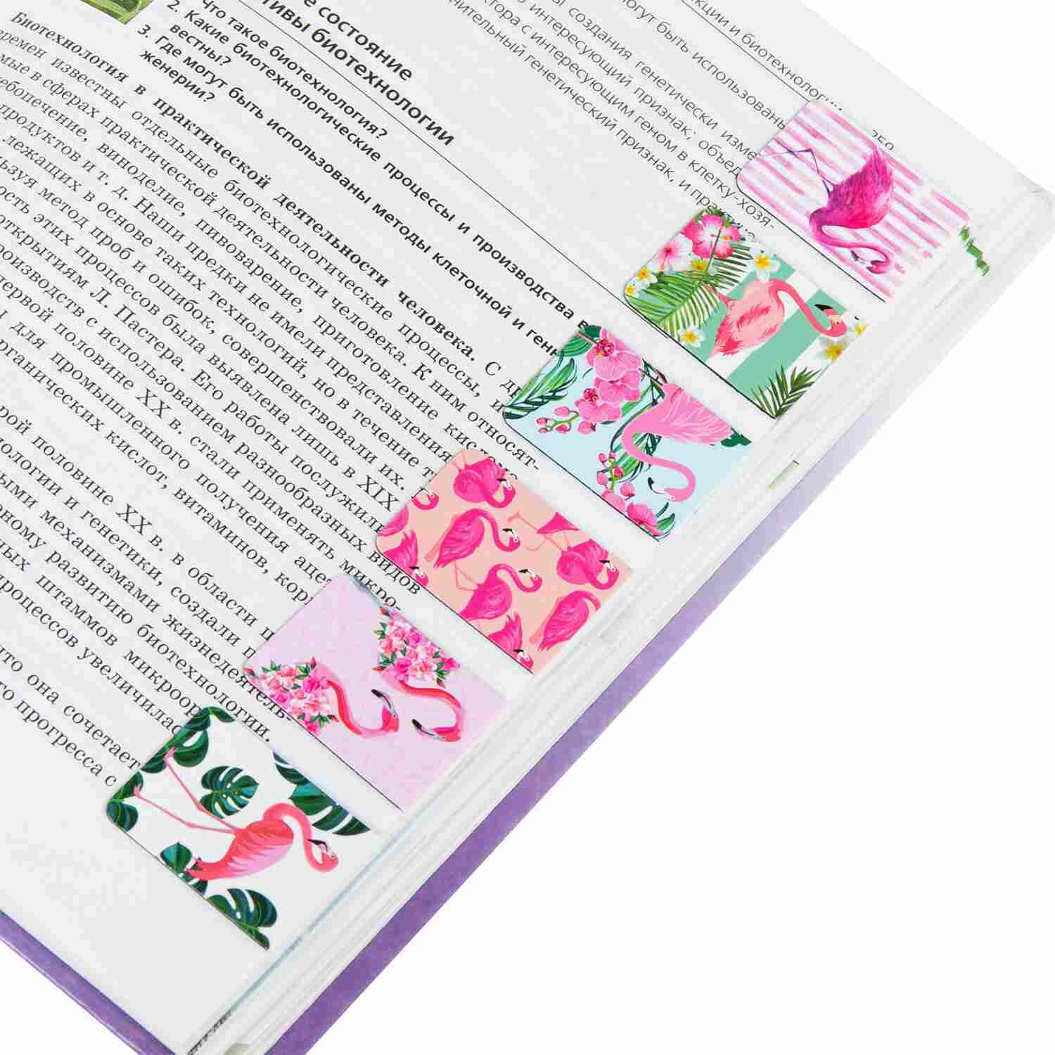 картинка Набор закладок магнитных, 6 шт, 35*25 мм, ассорти, "Flamingo", BRAUBERG, 113165 от магазина Альфанит в Кунгуре
