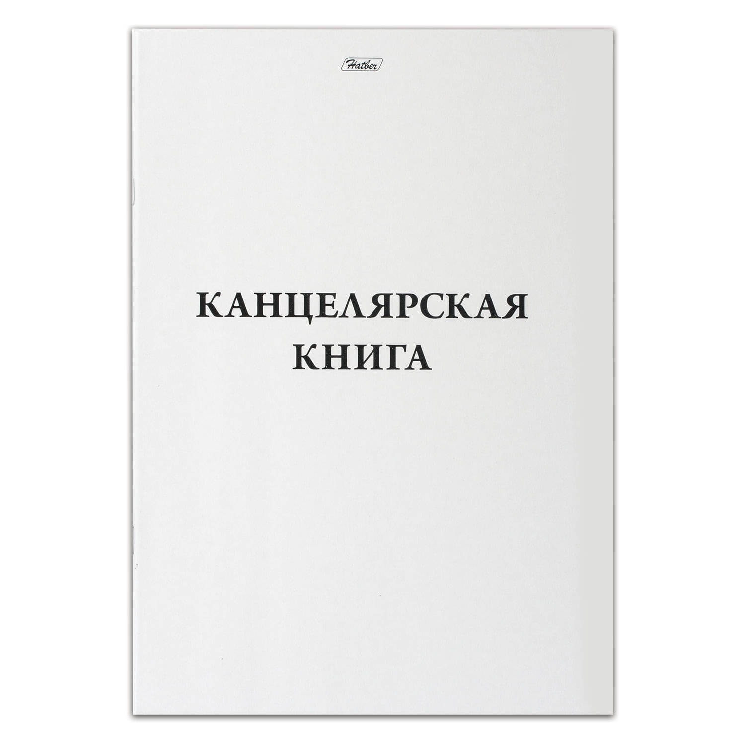 картинка Книга учета, А4, 48 л, клетка, офсет, Hatber, 48Т4В3_03963 от магазина Альфанит в Кунгуре