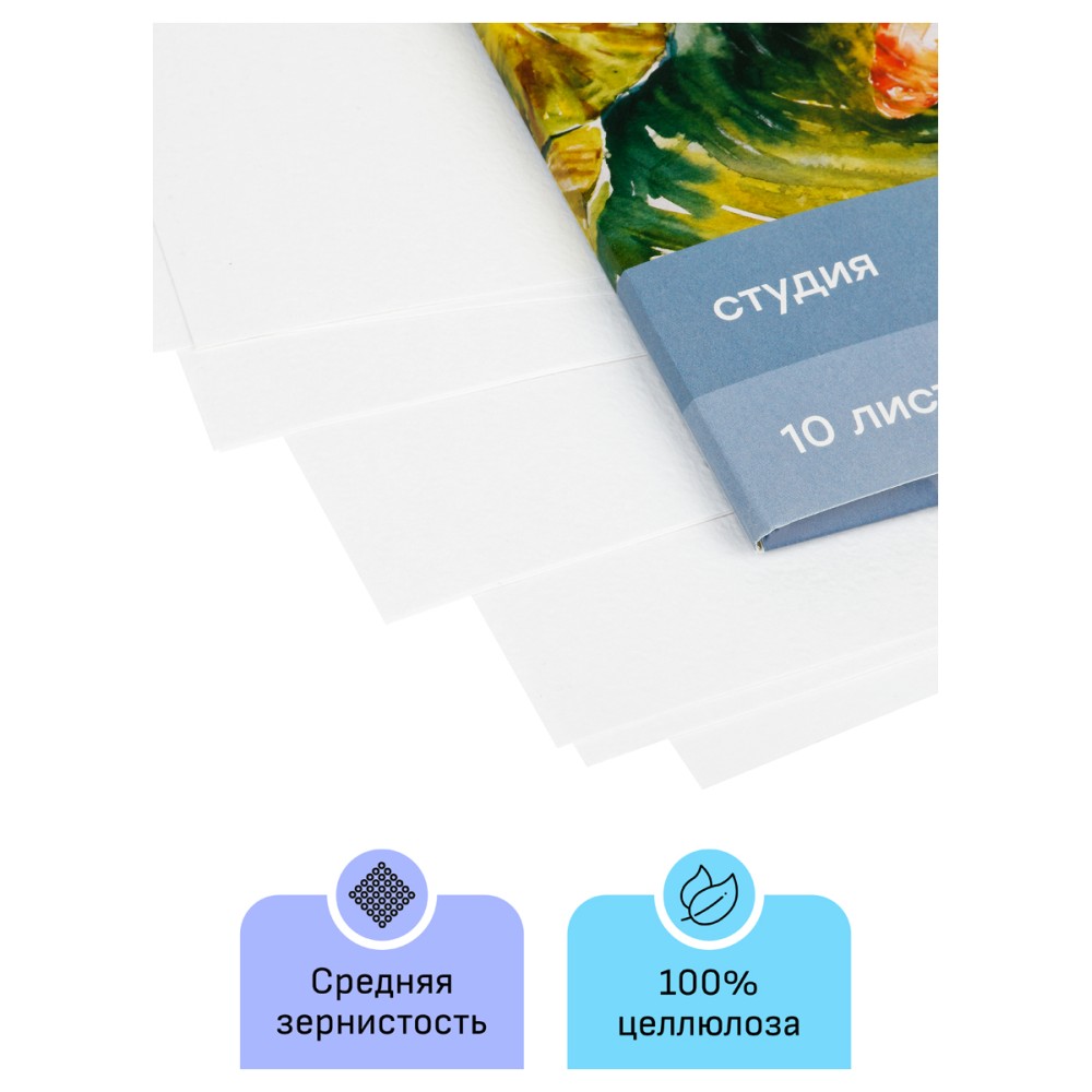 картинка Папка для акварели, А4, 10 л, 200 г/м2, среднее зерно, "Студия", Гамма, 40C03F710W от магазина Альфанит в Кунгуре