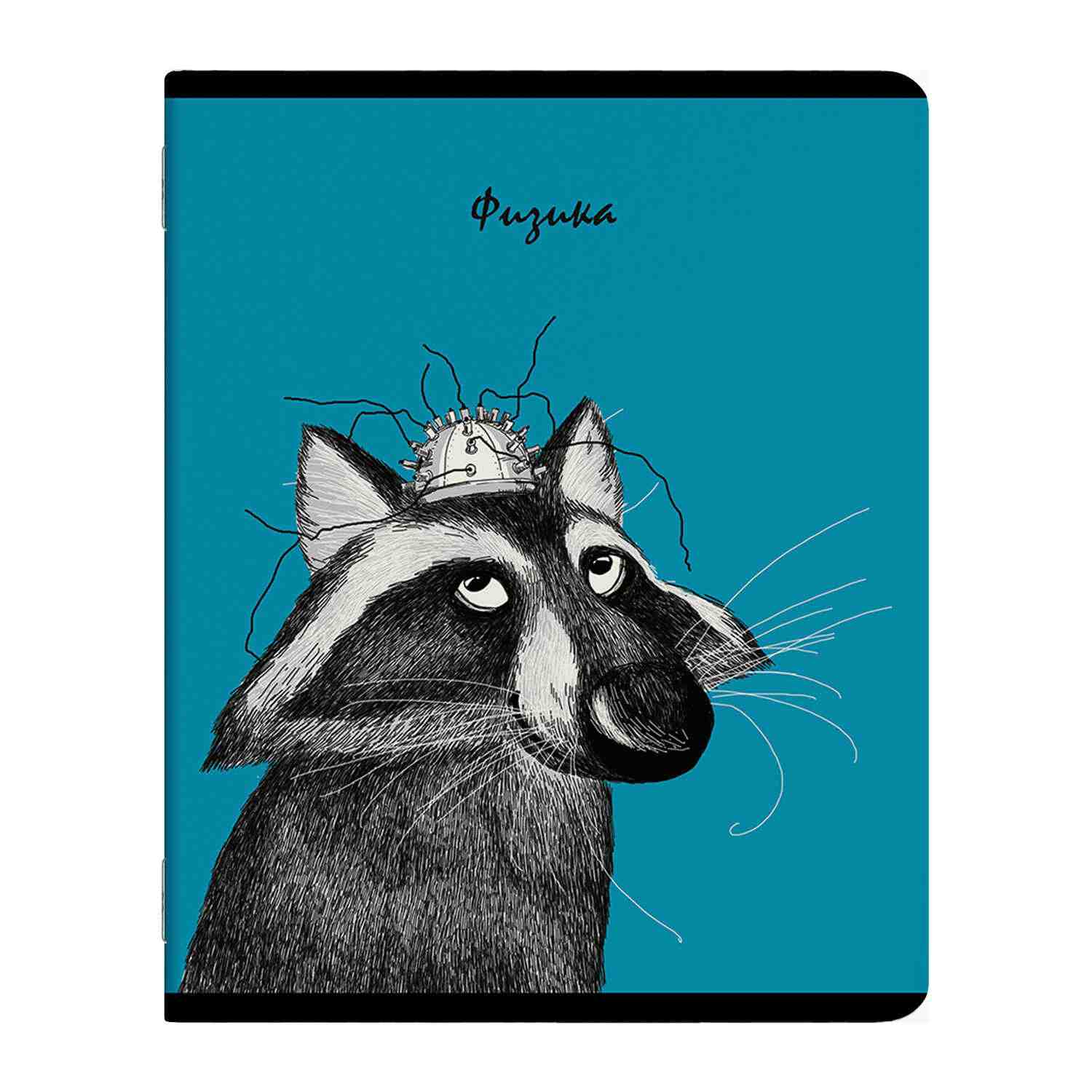 картинка Тетрадь предметная 48 л, А5, "Забавные животные. Физика", Феникс+, 56876 от магазина Альфанит в Кунгуре