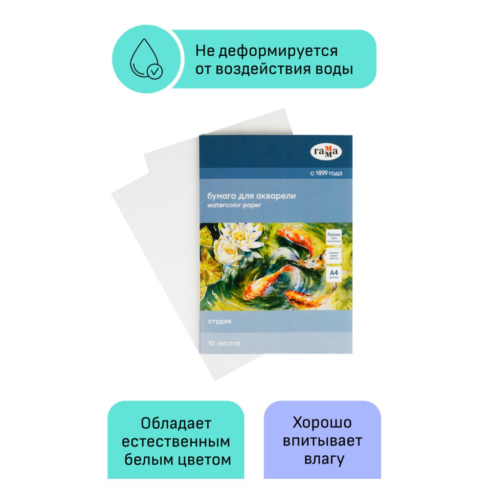 картинка Папка для акварели, А4, 10 л, 200 г/м2, среднее зерно, "Студия", Гамма, 40C03F710W от магазина Альфанит в Кунгуре
