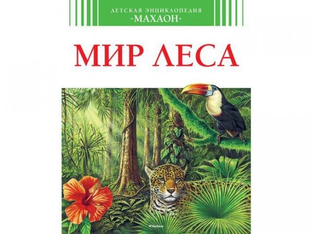 картинка Энциклопедия, 20*24 см, 64 л, твердый переплет, "Мир леса", Махаон от магазина Альфанит в Кунгуре