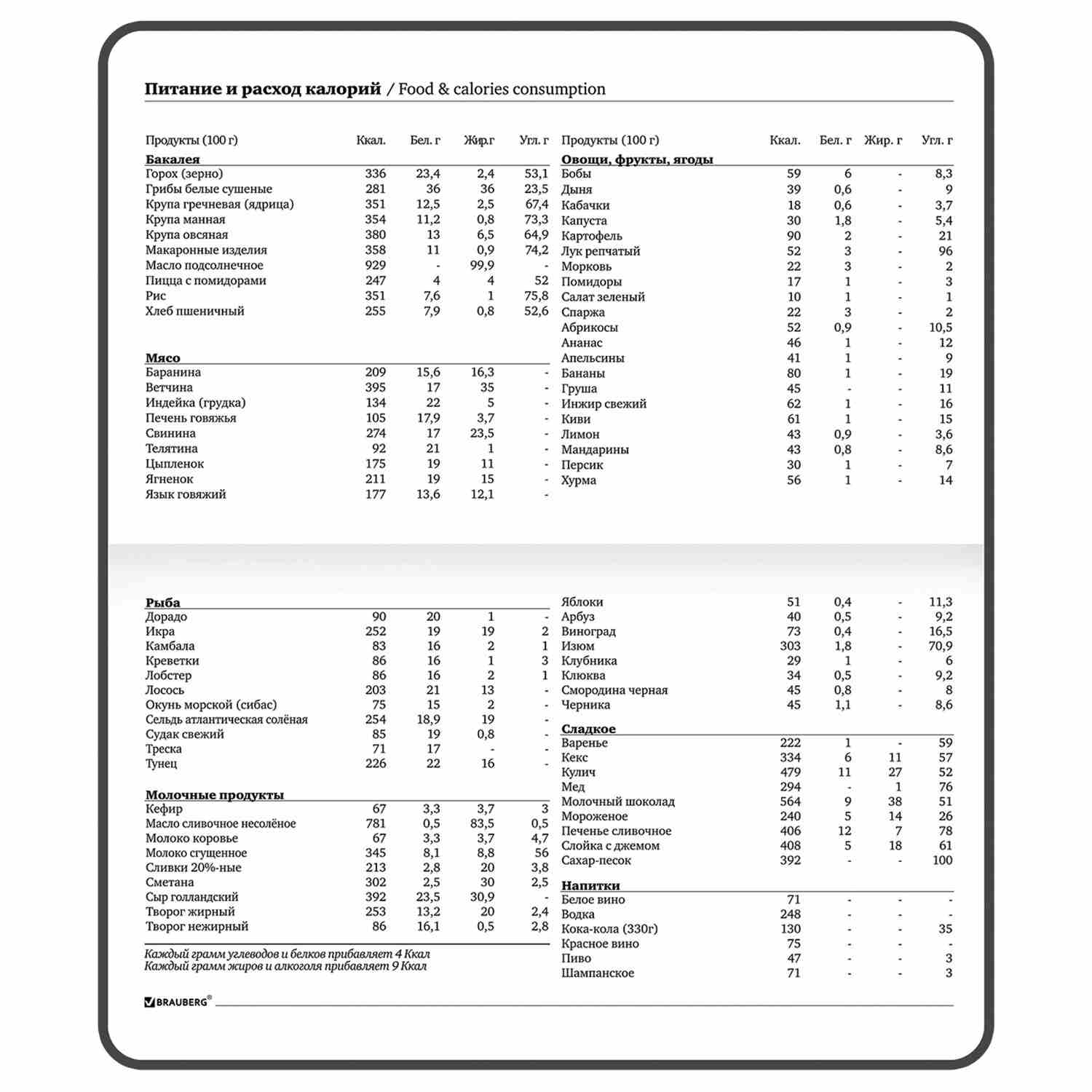 картинка Еженедельник недатированный, А6, 64 л, голубой/сиреневый, "Infuse", BRAUBERG, 114574 от магазина Альфанит в Кунгуре