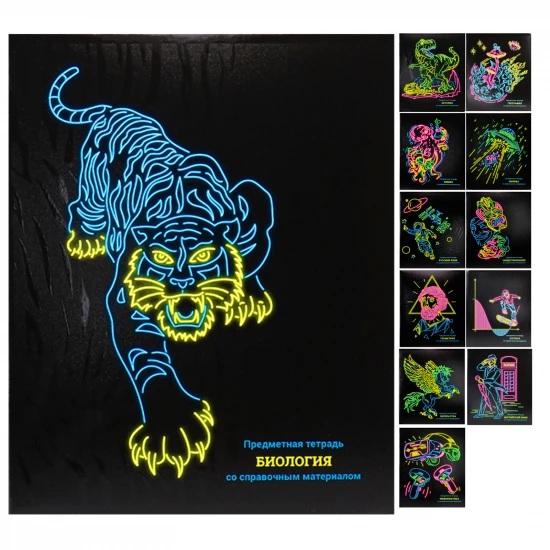 картинка Набор предметных тетрадей 12 шт, 48 л, А5, "Neon", ProfPress, 48-9696 от магазина Альфанит в Кунгуре