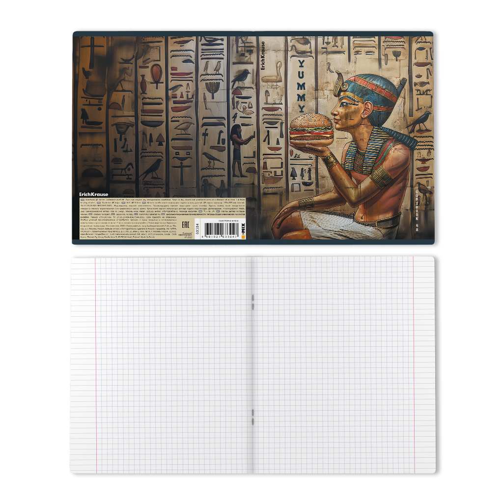 картинка Тетрадь 48 л, А5, клетка, "Newgypt", Erich Krause, 63304 от магазина Альфанит в Кунгуре